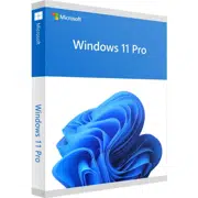 Windows 11 Pro 64Bit Eng Intl 1pk DSP OEI DVD