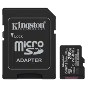 Карта памяти Kingston Canvas Select Plus, 256 ГБ, Black