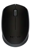 Компьютерная мышь Logitech M171 Black