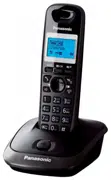 DECT телефон Panasonic KX-TG2511UAT