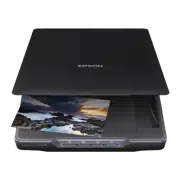 Планшетный Scanner Epson Scanner Perfection V39II, A4, Чёрный